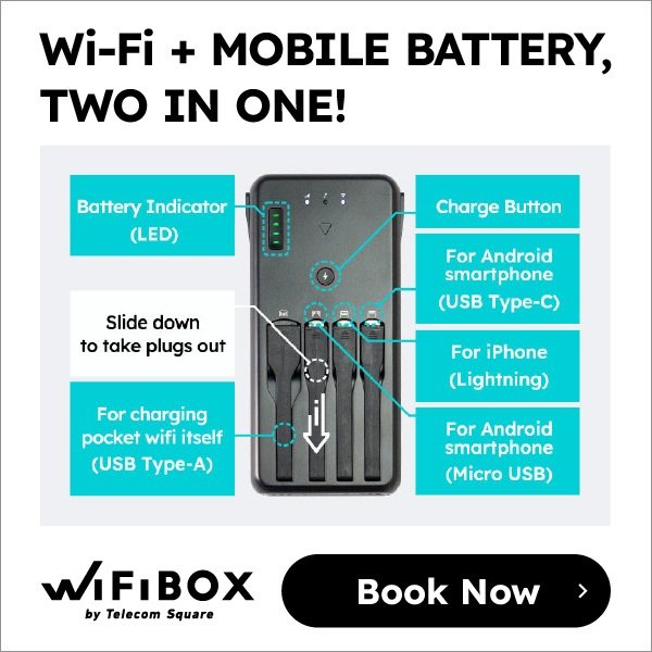 Wi-Fi+MOBILE BATTERY, TOW IN ONE!