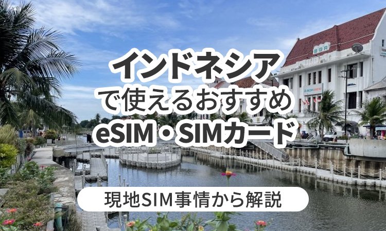 インドネシアで使えるおすすめのeSIMやSIMカードとは？現地SIM事情から解説