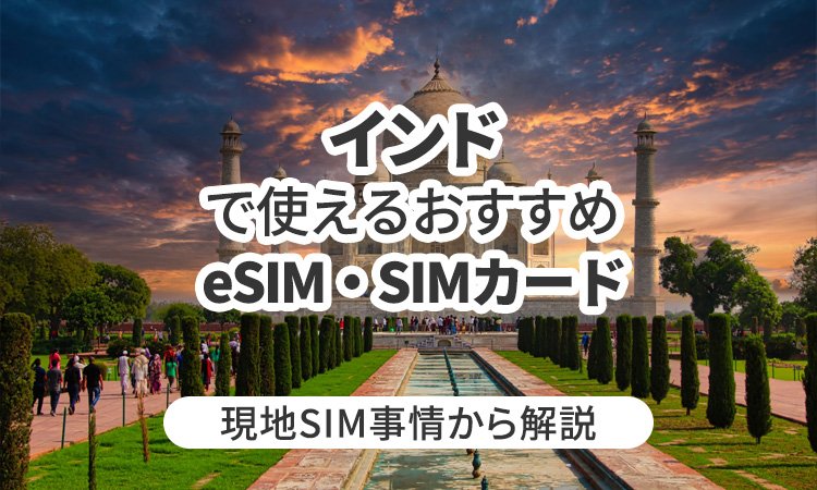 インドで使えるおすすめeSIMやSIMカードとは？現地SIM事情から解説