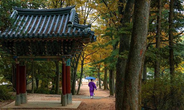 韓国の気候と服装