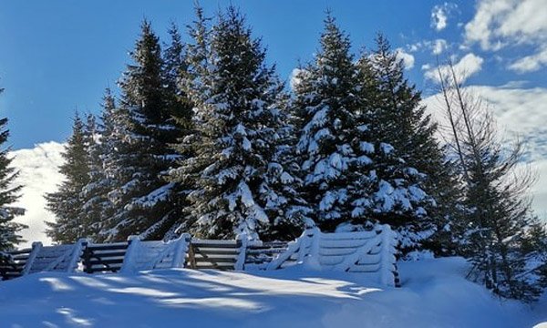 オーストリアの気候と服装