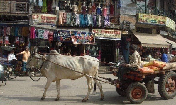 インドの現地SIM事情