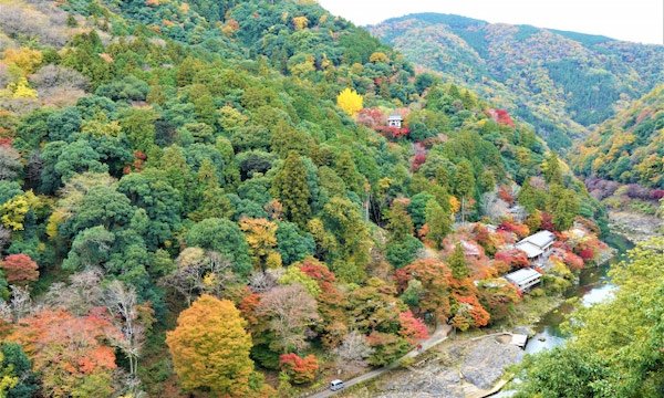 京都の見どころ