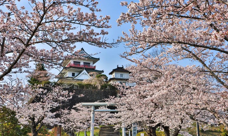Places to Visit in Miyagi