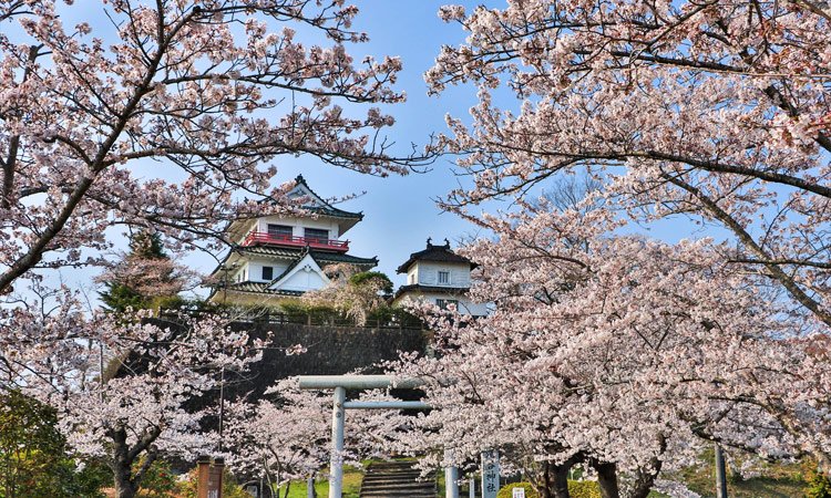 宮城の見どころ