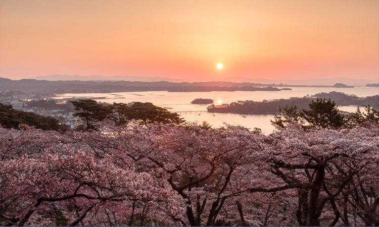 Matsushima