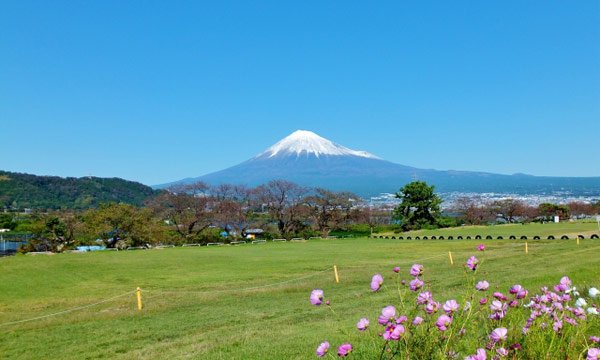 山梨で使えるその他のフリーWi-Fi