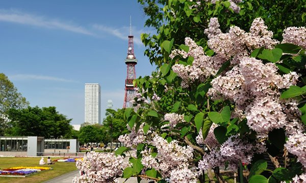 Odori Park