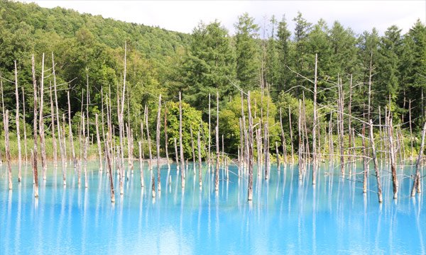 Shirogane Blue Pond