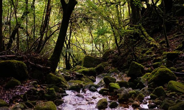 鹿児島で使えるその他のフリーWi-Fi