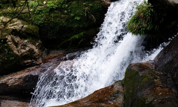 白谷雲水峡