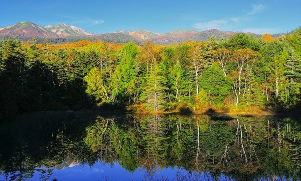 岐阜のインターネット・Wi-Fi事情のまとめ