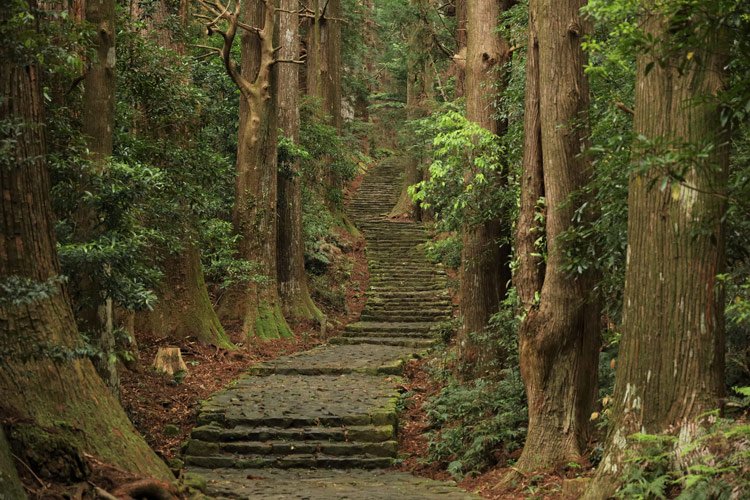 Kumano Kodo (Kumano Pilgrimage Routes)