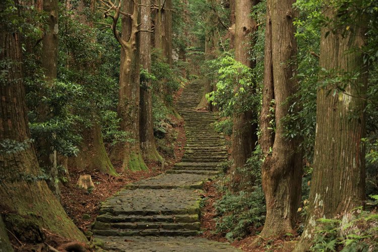 Kumano Kodo (Kumano Pilgrimage Routes)