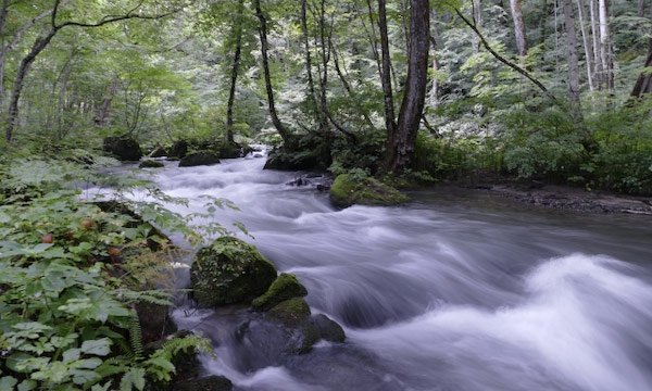 Free Public Wi-Fi Available in Aomori