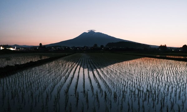 Other Free Wi-Fi Available in Aomori