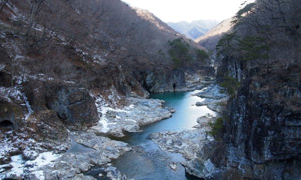 栃木のインターネット・Wi-Fi事情のまとめ