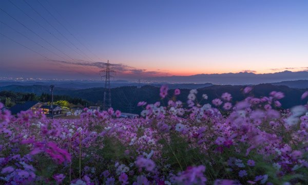 富山とは