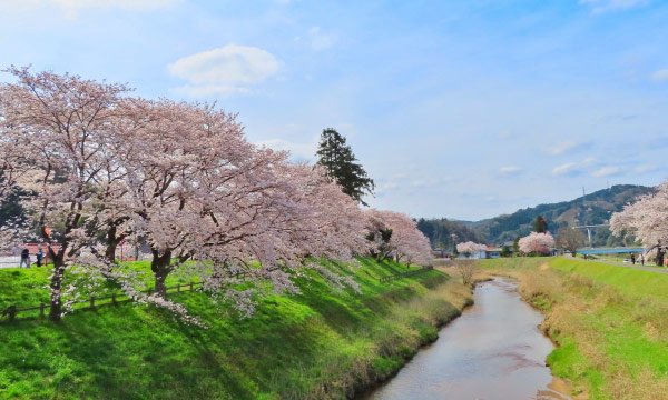 Summary of the Internet and Wi-Fi situation in Shimane