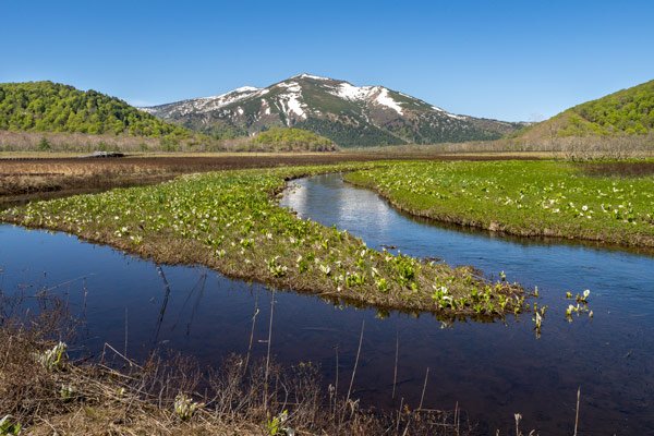 Oze National Park