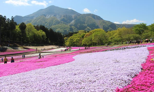 羊山公園