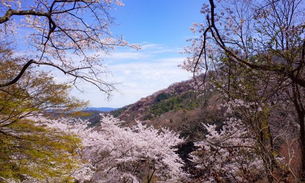 岡山のインターネット・Wi-Fi事情のまとめ