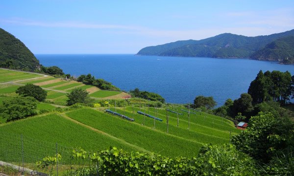 Places to Visit in Fukui