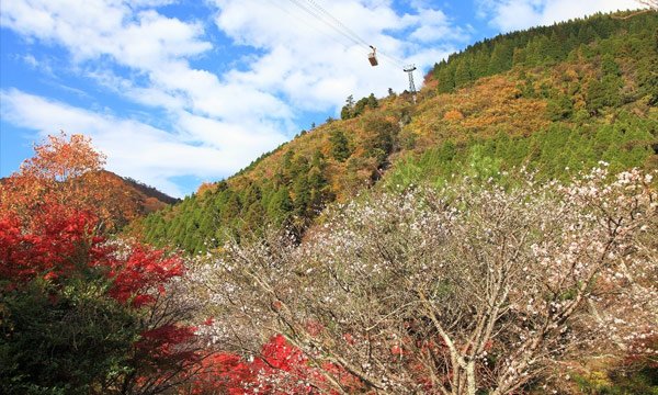 大分の見どころ