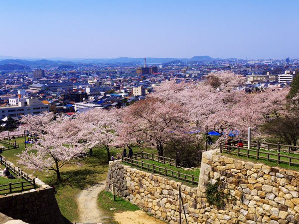 鳥取城跡