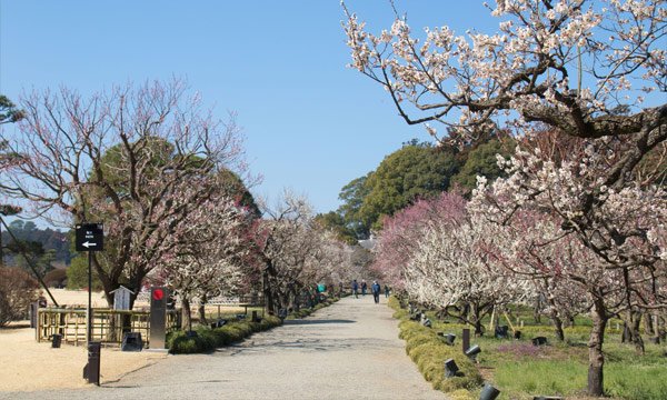 偕楽園