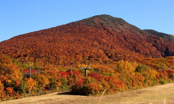 山形の見どころ