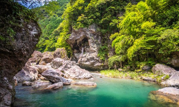 高知とは