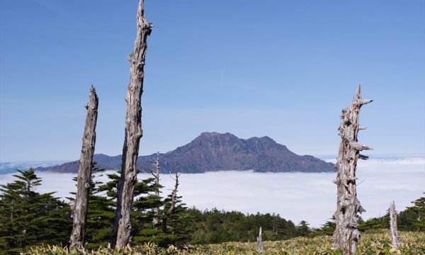 高知の見どころ