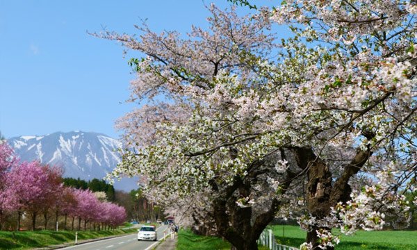 岩手とは