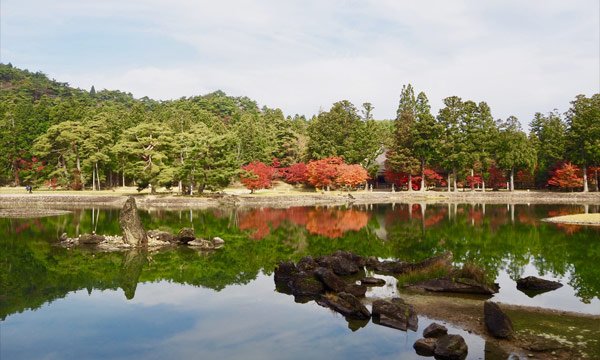 毛越寺