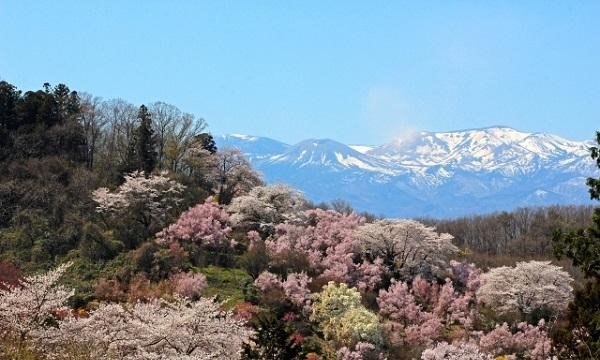 Free public Wi-Fi available in Fukushima