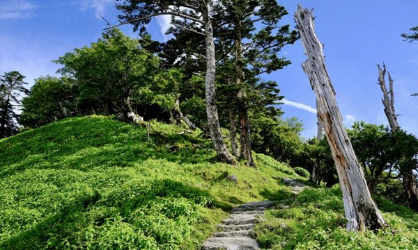 徳島の見どころ