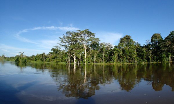 ブラジルのSIM・eSIM事情のまとめ