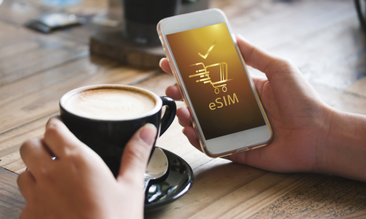 地球の歩き方 eSIMの料金プランと容量の選び方