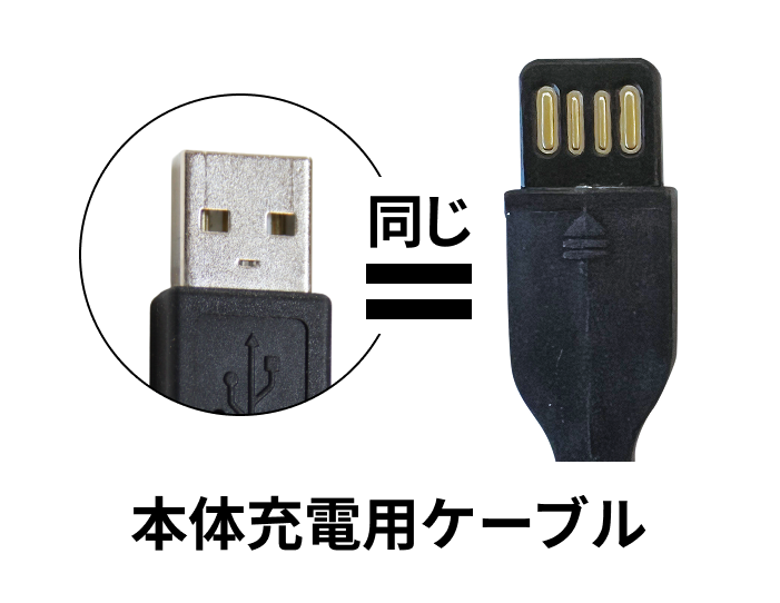 Type-A型 接続端子画像